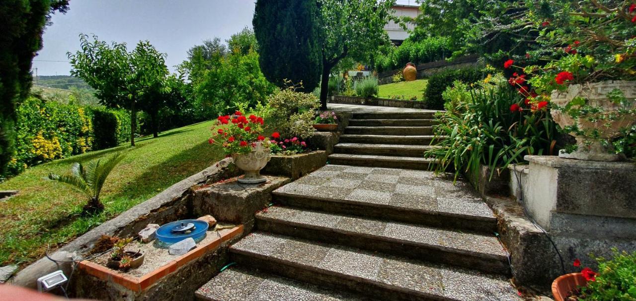 Casa Gaia Sorrento Bio Vacanze Kültér fotó